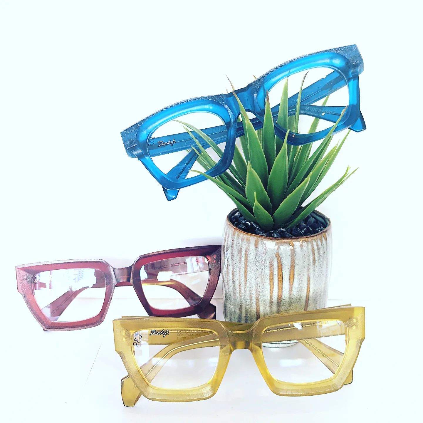 Colorful handmade eyeglass frames from Funky Eyewear displayed with a plant at Inspired Eyes.